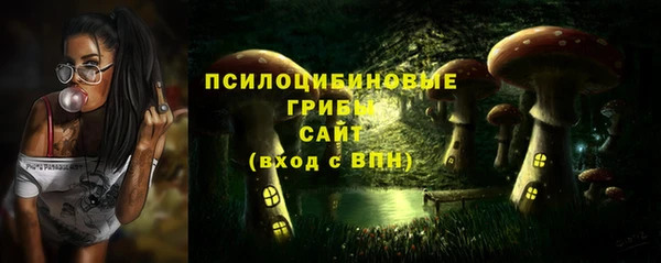 винт Алексин
