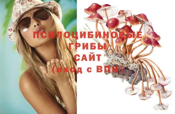 ПСИЛОЦИБИНОВЫЕ ГРИБЫ Алзамай