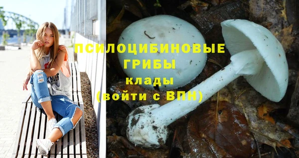 винт Алексин